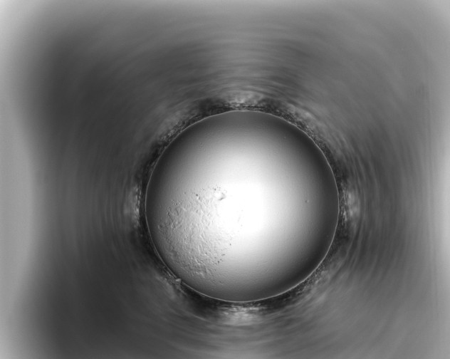 X0000096430664200801311433