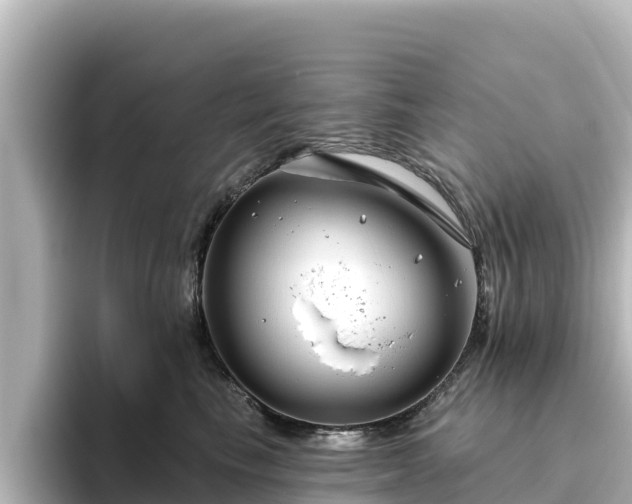 X0000096430665200801311433
