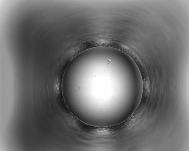 X0000096430668200801311433