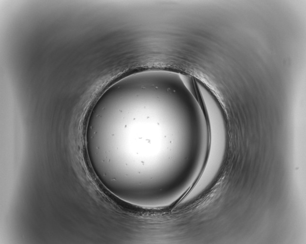 X0000096430673200801311433