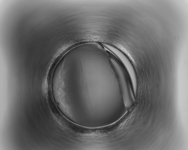 X0000096430674200801311433