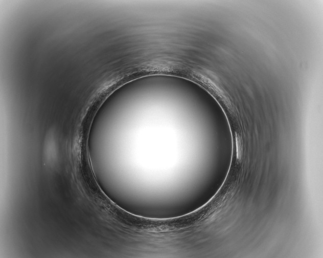 X0000096430675200801311433