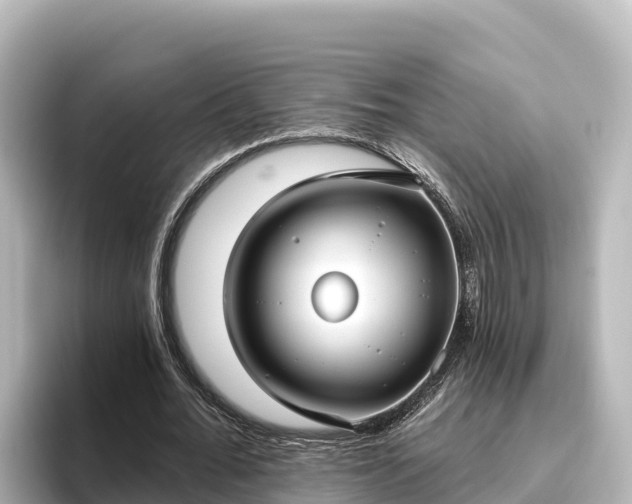 X0000096430676200801311433