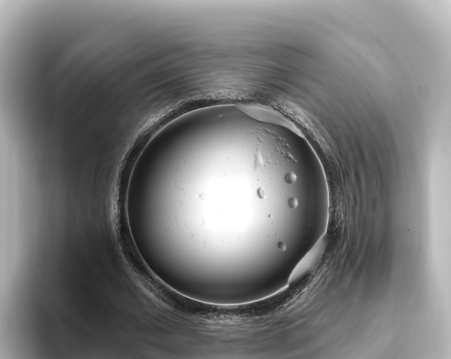 X0000096430677200801311433