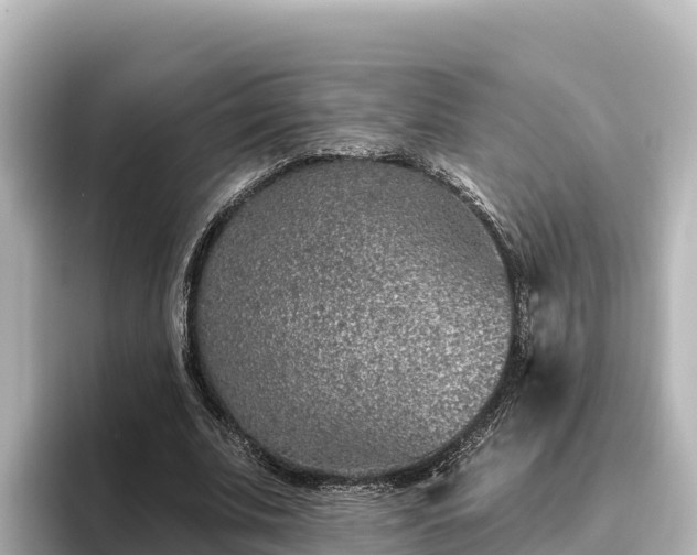 X0000096430679200801311433