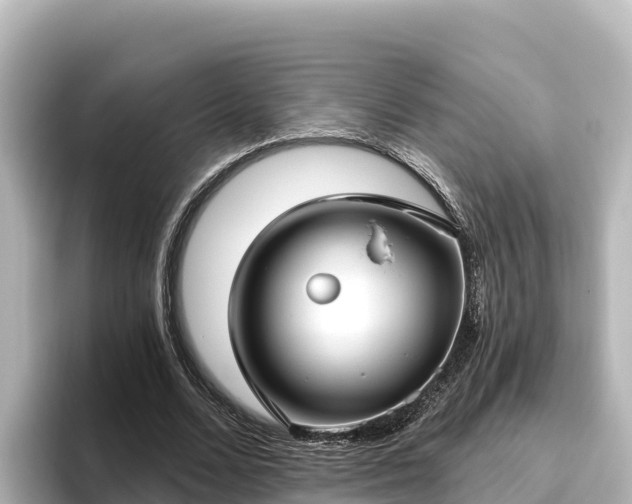 X0000096430680200801311433
