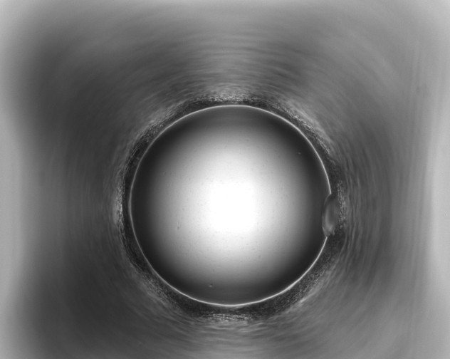X0000096430681200801311433