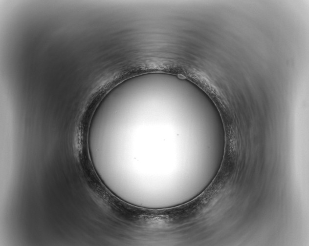 X0000096430683200801311433