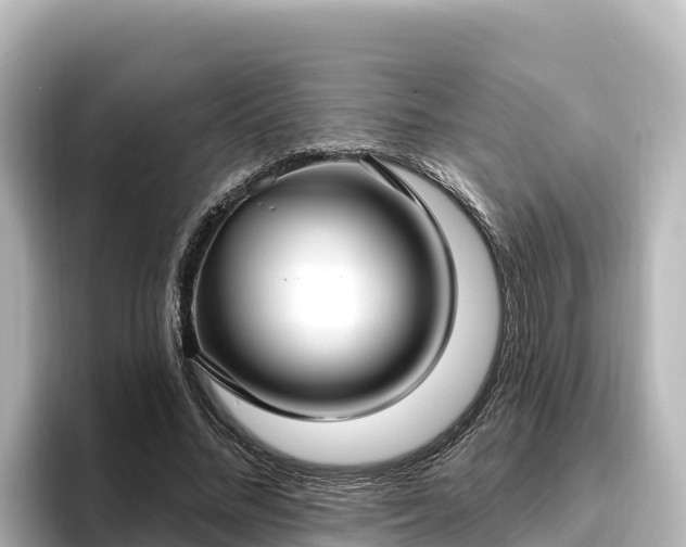 X0000096430684200801311433