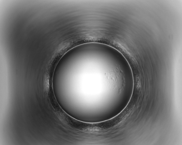 X0000096430685200801311433