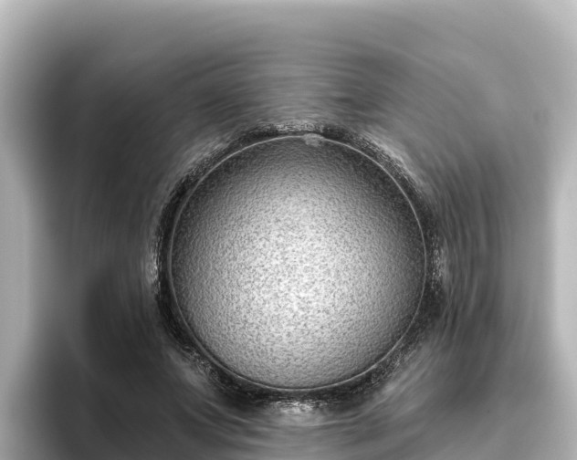 X0000096430687200801311433