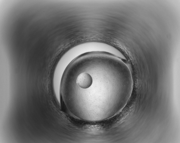 X0000096430689200801311433
