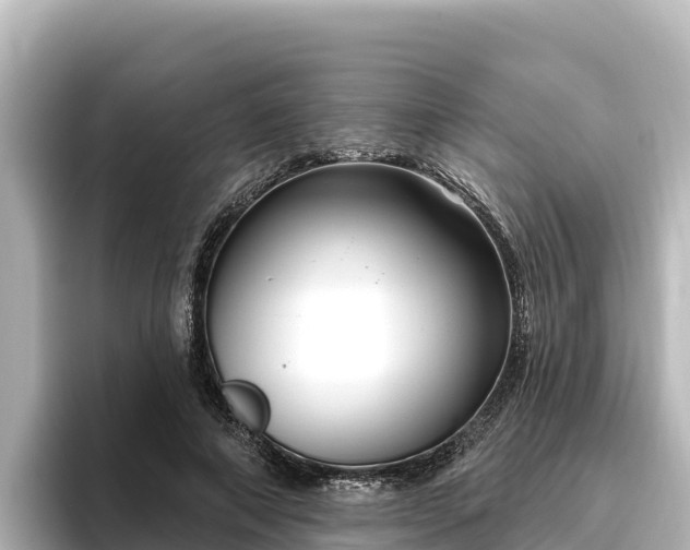 X0000096430690200801311433