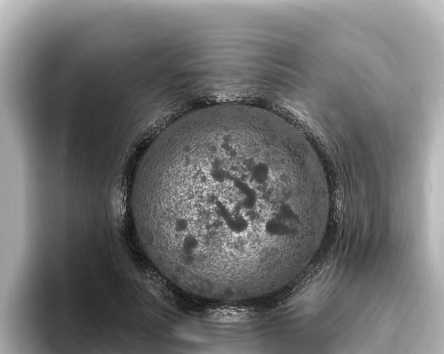 X0000096430691200801311433