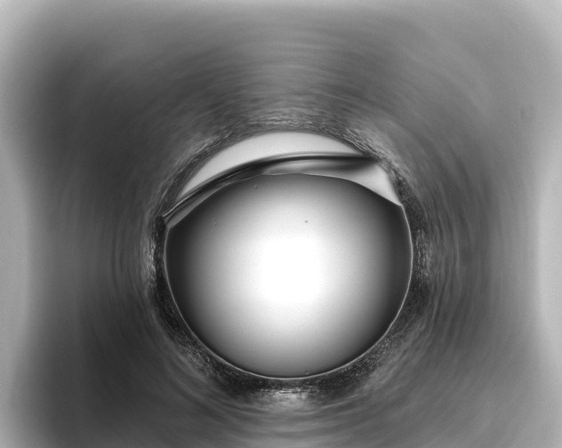 X0000096430692200801311433
