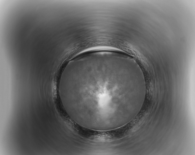 X0000096430696200801311432