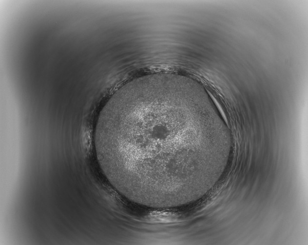 X0000096430699200801311432