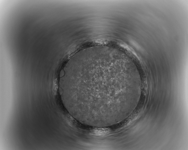 X0000096430707200801311432