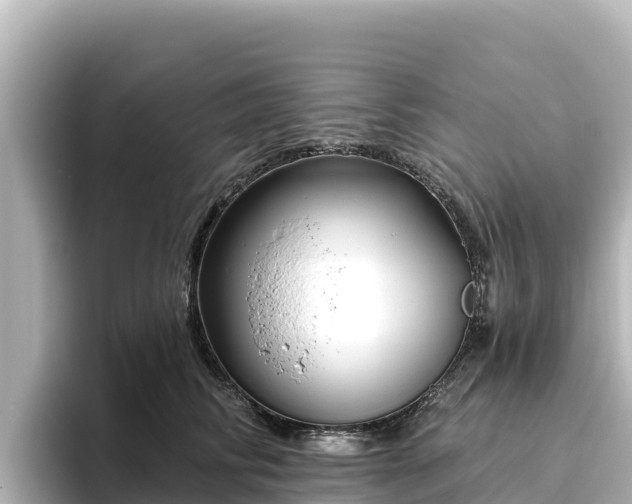 X0000096430710200801311432