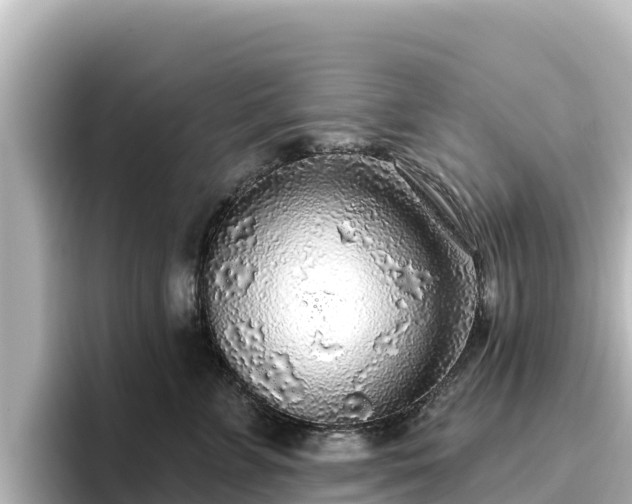 X0000096430715200801311432