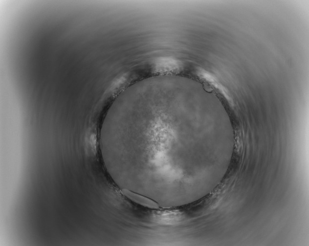 X0000096430716200801311432
