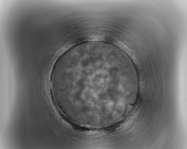 X0000096430721200801311432
