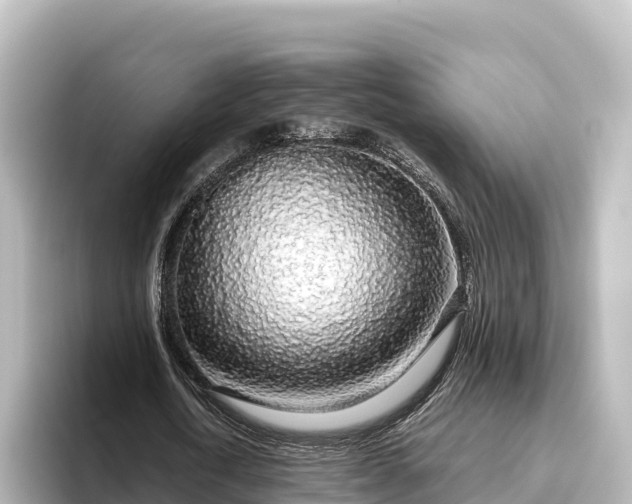 X0000096430722200801311432