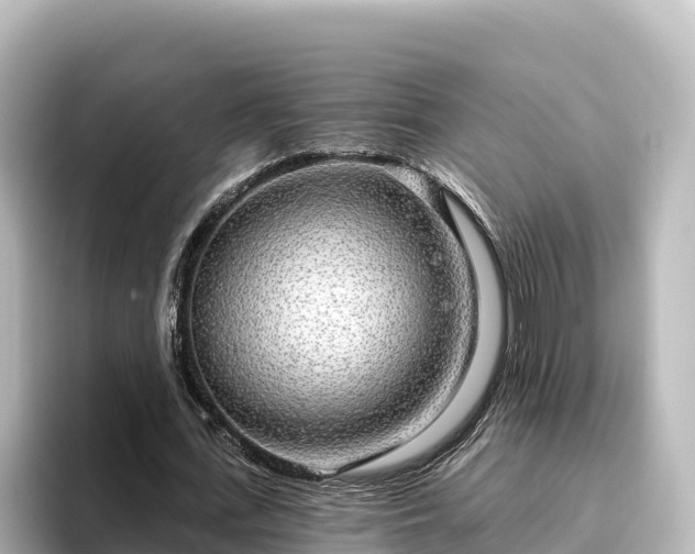 X0000096430723200801311432