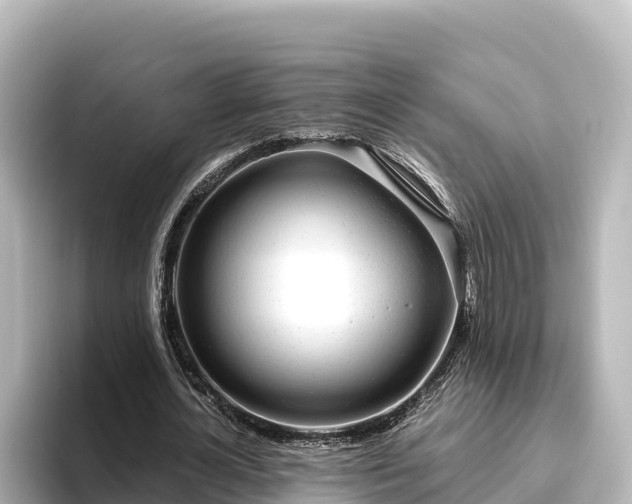 X0000096430724200801311432