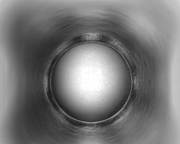 X0000096430725200801311432