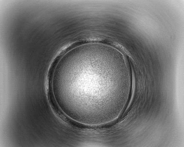 X0000096430726200801311432