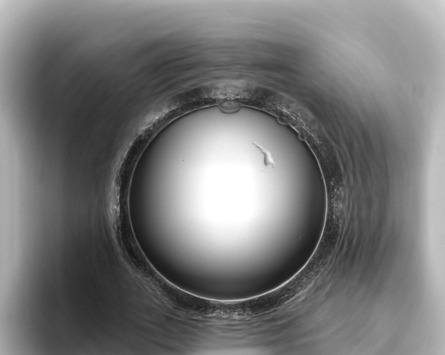 X0000096430727200801311432