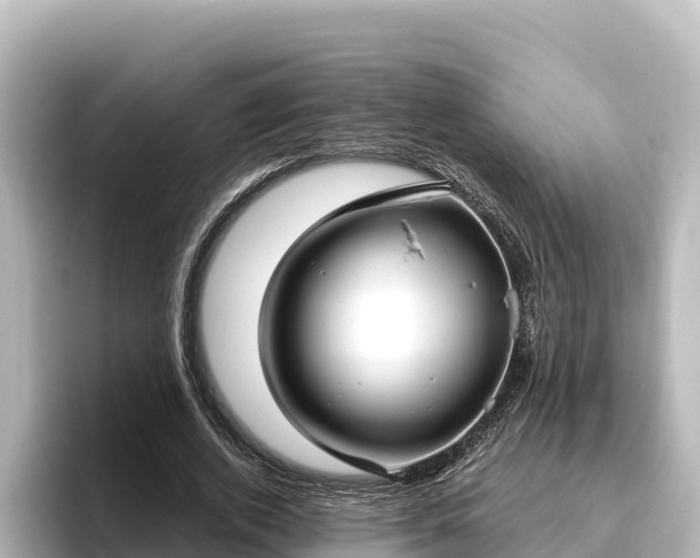 X0000096430728200801311432