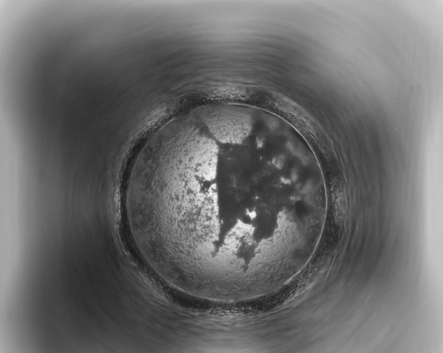 X0000096430729200801311432
