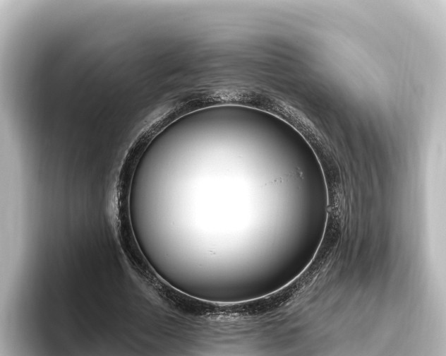 X0000096430730200801311432