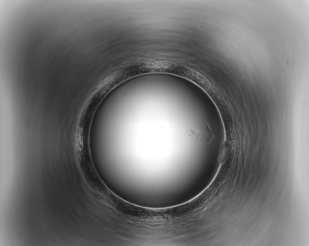 X0000096430731200801311432