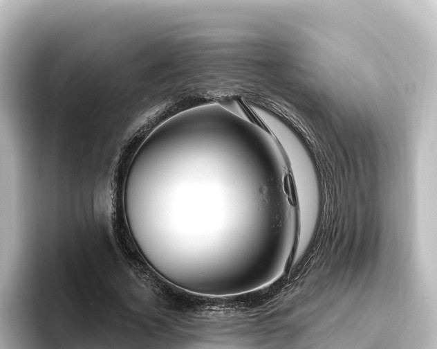 X0000096430732200801311432