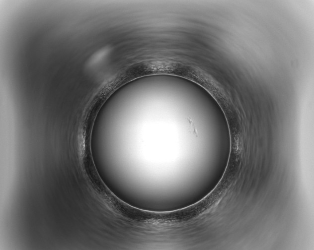 X0000096430733200801311432
