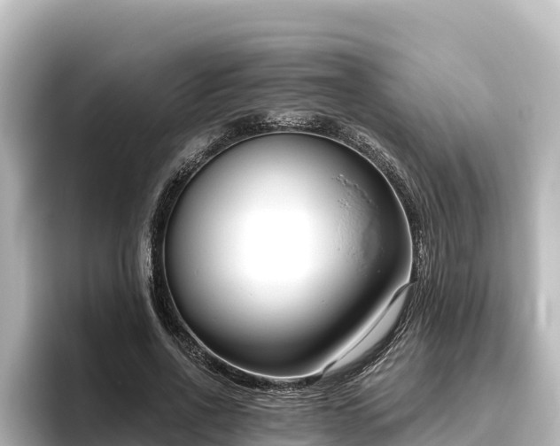 X0000096430734200801311432