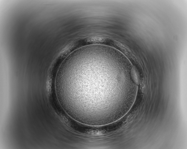 X0000096430735200801311432