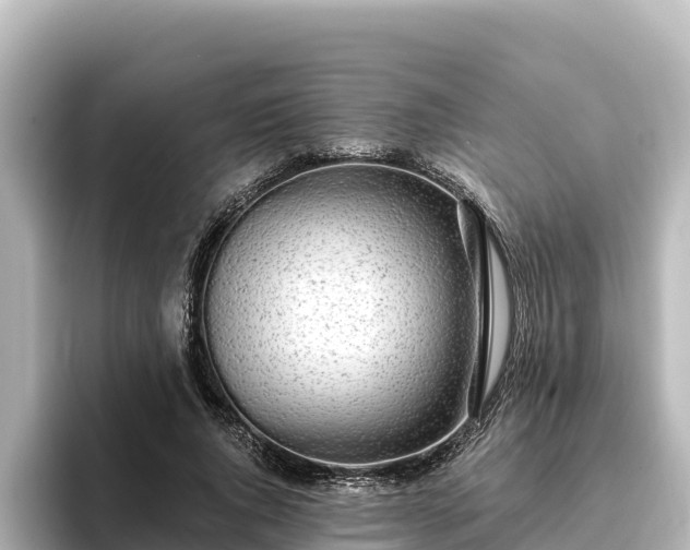 X0000096430736200801311432