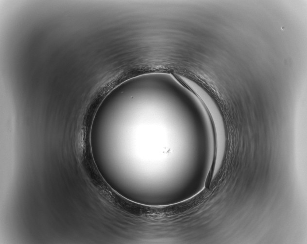 X0000096430740200801311432