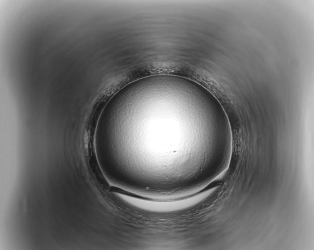 X0000096430742200801311432