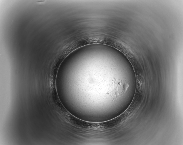 X0000096430745200801311432