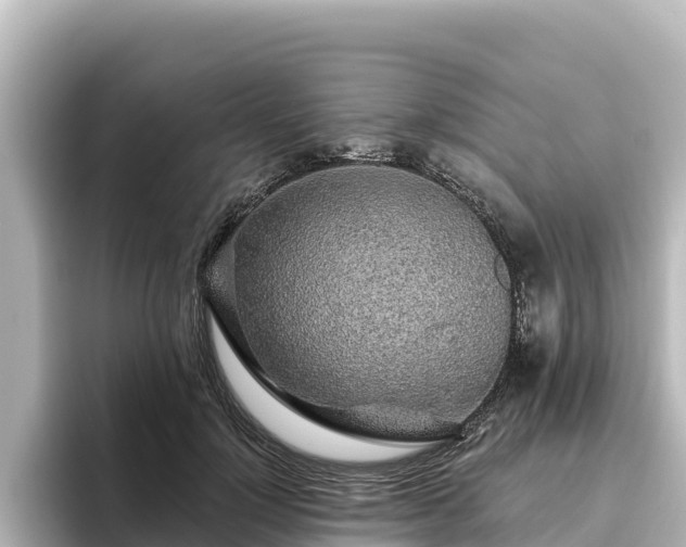 X0000096430748200801311432