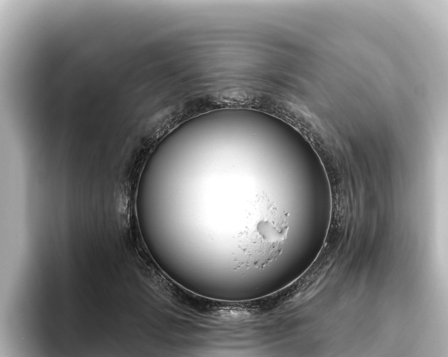 X0000096430749200801311432