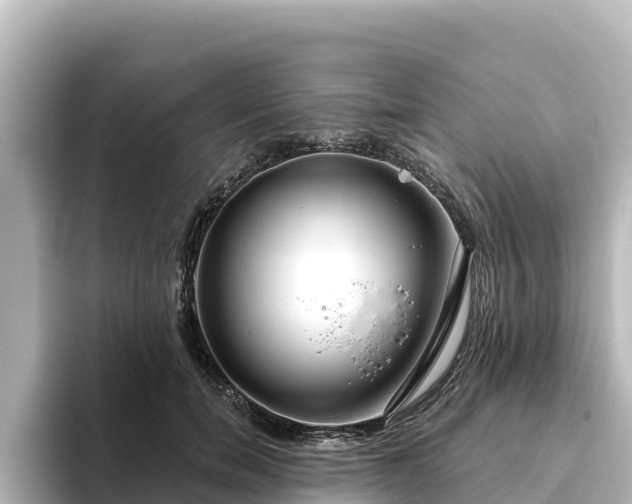X0000096430750200801311432