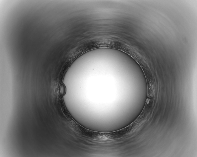 X0000096430753200801311432
