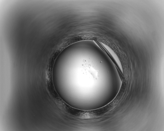 X0000096430755200801311432