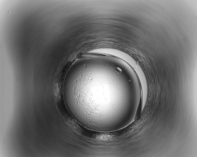X0000096430759200801311432